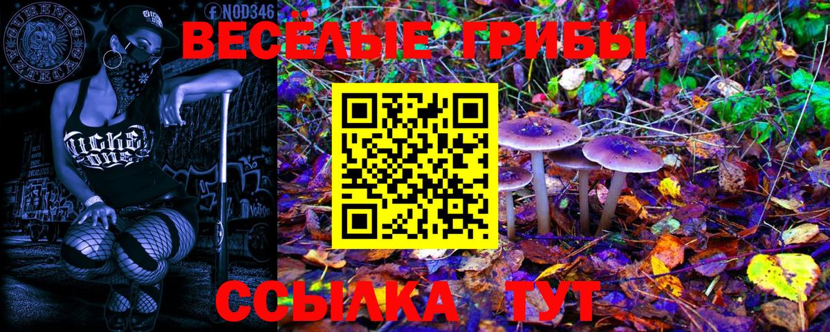 Псилоцибиновые грибы Cubensis  Псилоцибиновые грибы мухоморы  Аша  Вход с VPN 