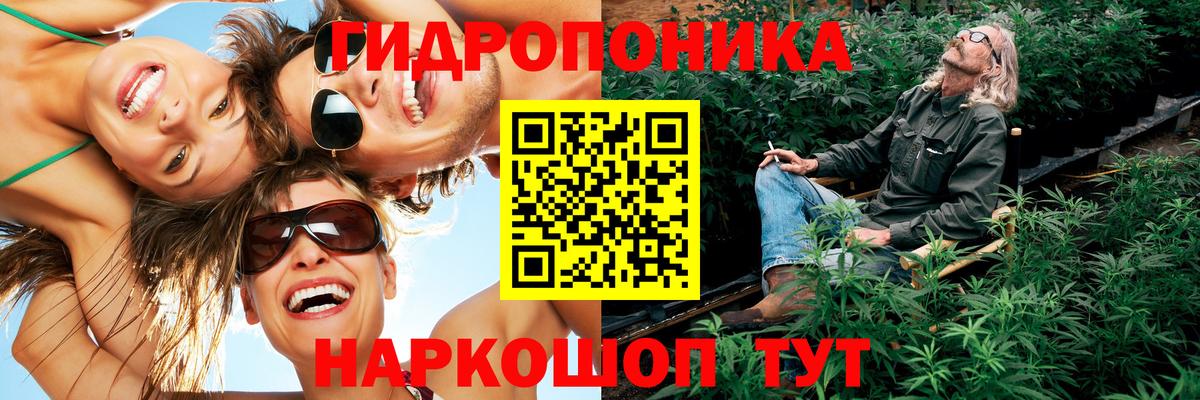 Бошки Шишки сатива Аша